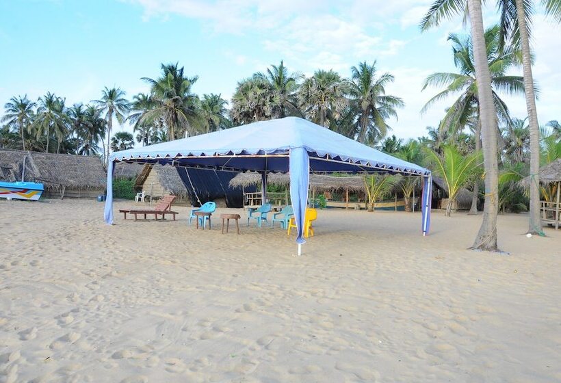 Отель Dolphin Village