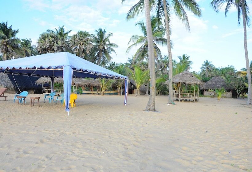 Отель Dolphin Village