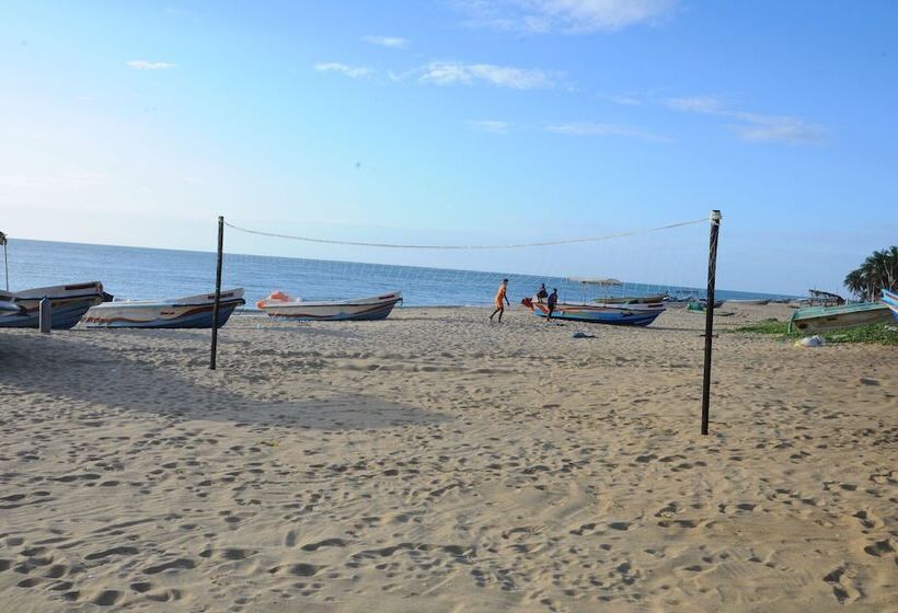 Отель Dolphin Village