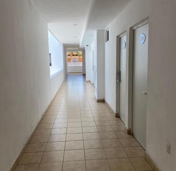 فندق Alo Select Mazatlan