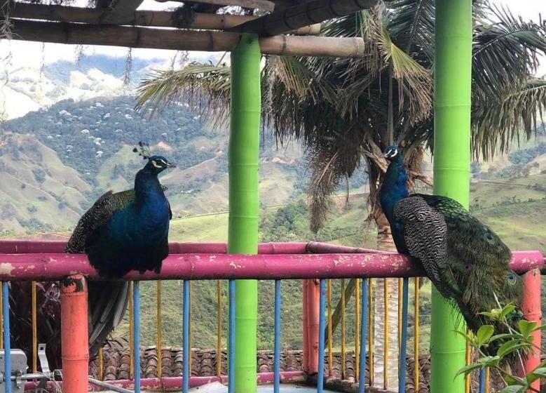 בית מלון כפרי Castillo De Cascadas Finca