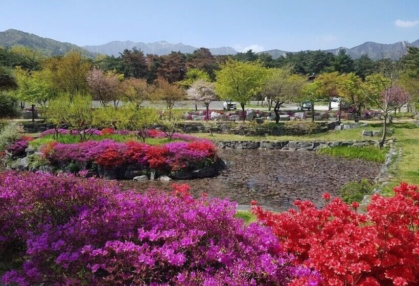 ホテル Cheoksan Spatel