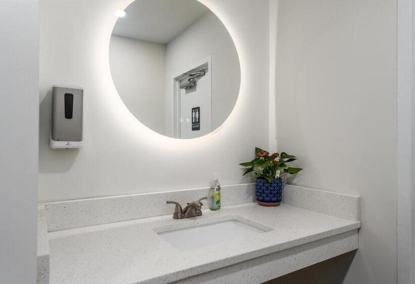 فندق Crewe Boutique Inn