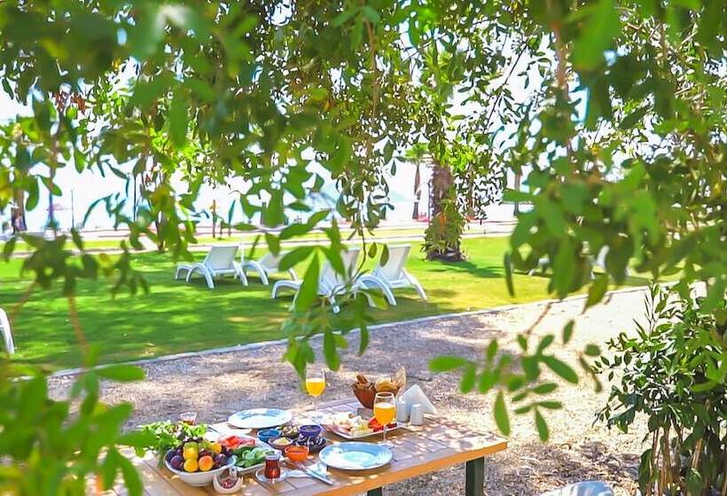 هتل Dolunay Suit & Beach