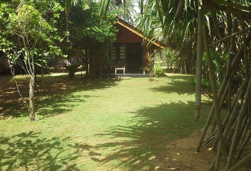 Отель Dream Village Beach Resort & Cabanas