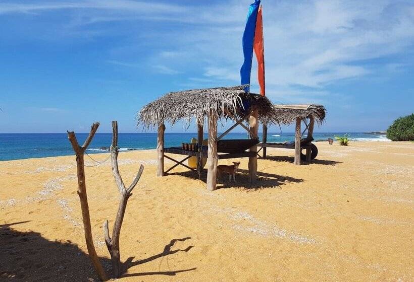 Отель Dream Village Beach Resort & Cabanas