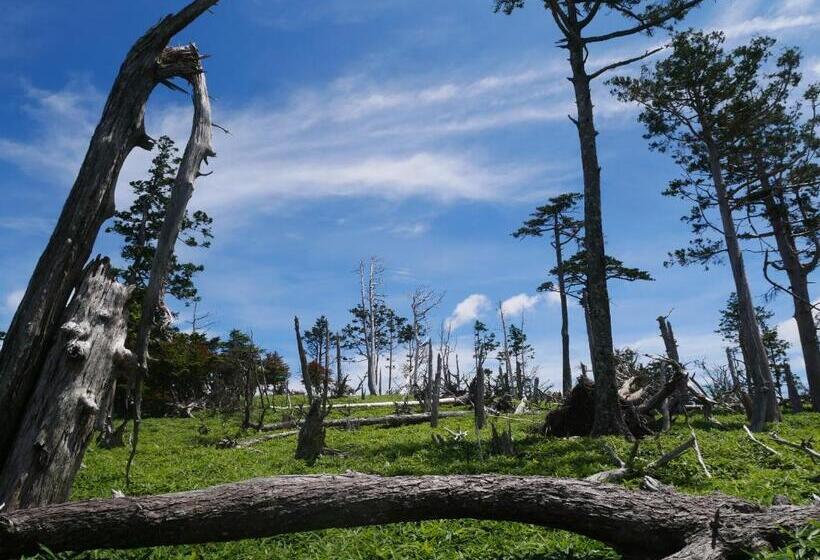 Отель Forest Kamikita