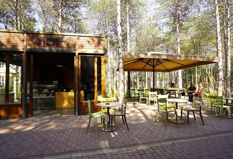 בית מלון כפרי Longosphere Glamping