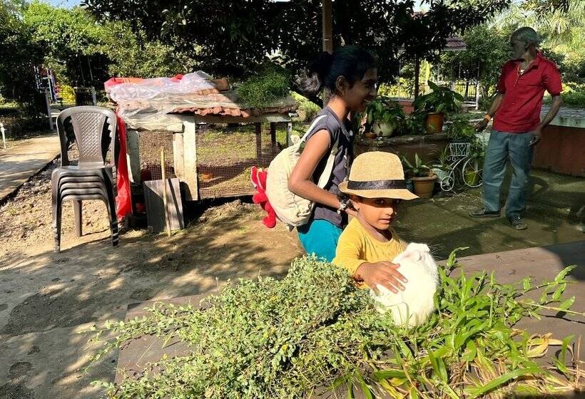 בית מלון כפרי Mango Tree Farm