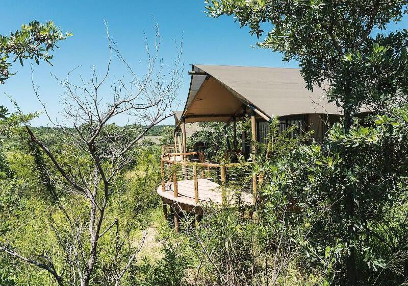 فندق Mdluli Safari Lodge