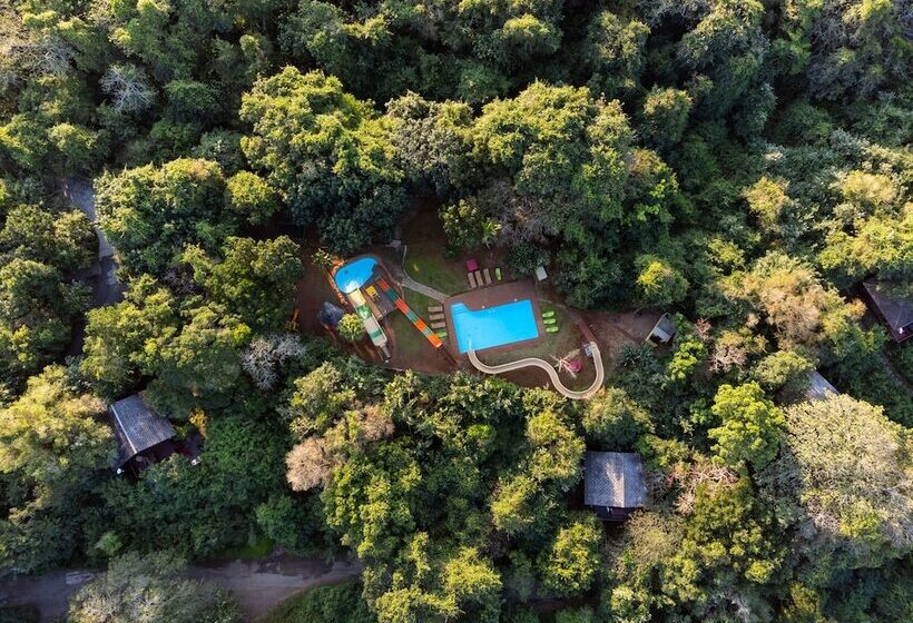 בית מלון כפרי Mtunzini Forest Lodge Self Catering Resort