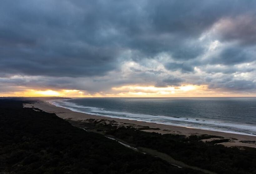 בית מלון כפרי Mtunzini Forest Lodge Self Catering Resort