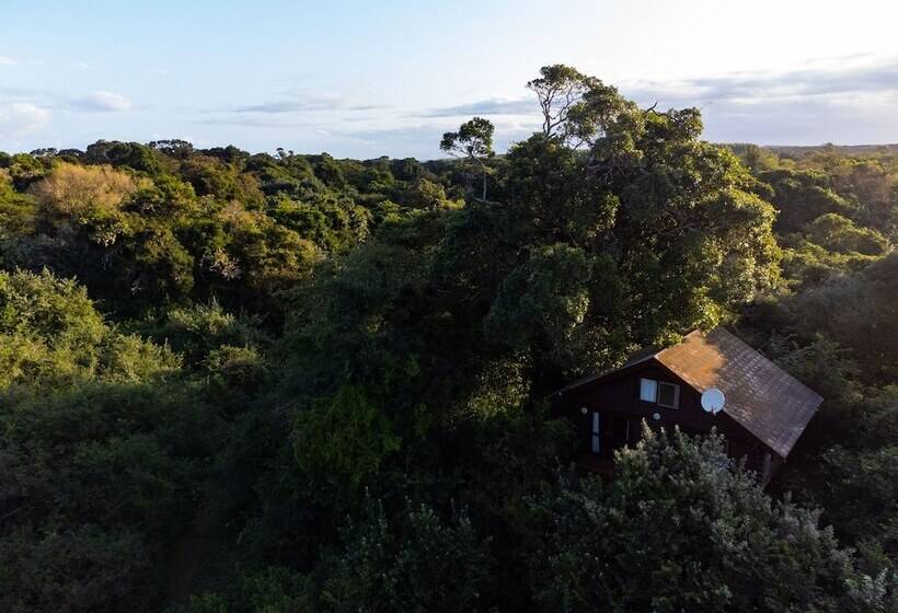 בית מלון כפרי Mtunzini Forest Lodge Self Catering Resort