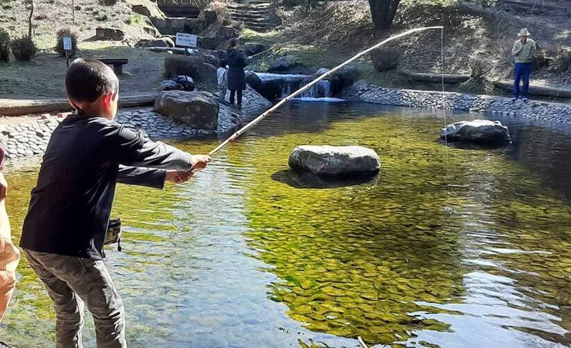 בית מלון כפרי Ojibaru Park