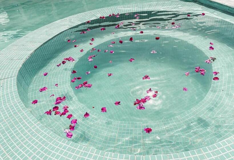 Отель Paje Blu Boutique