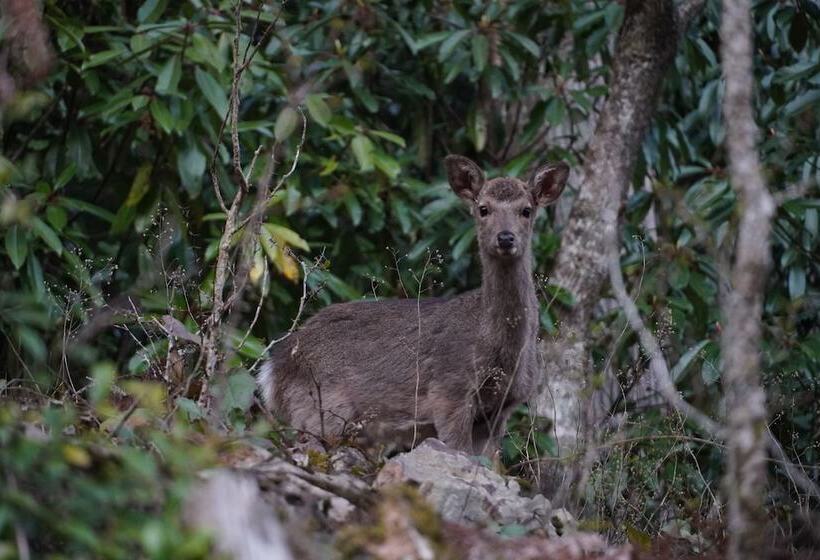 בית מלון כפרי Riverside Lodge