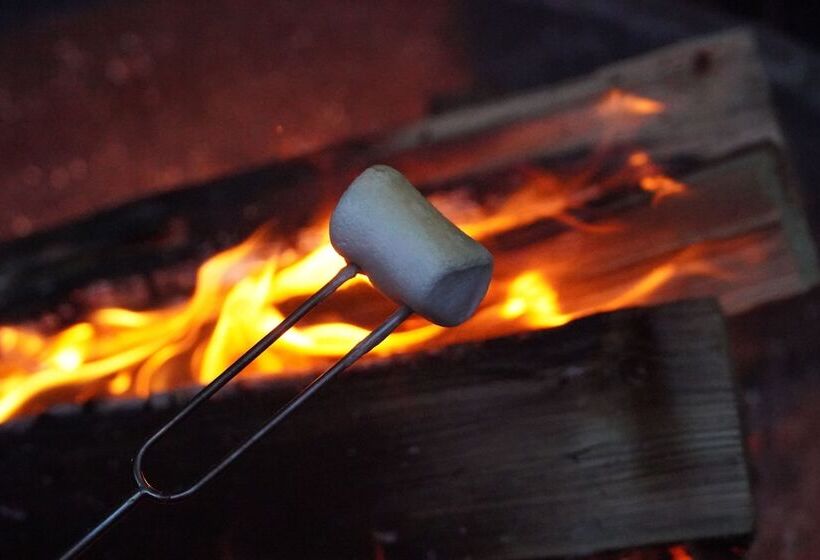 בית מלון כפרי Riverside Lodge