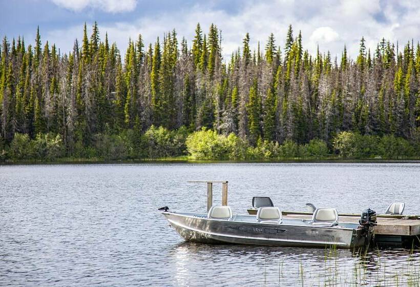 בית מלון כפרי Skitchine Lodge