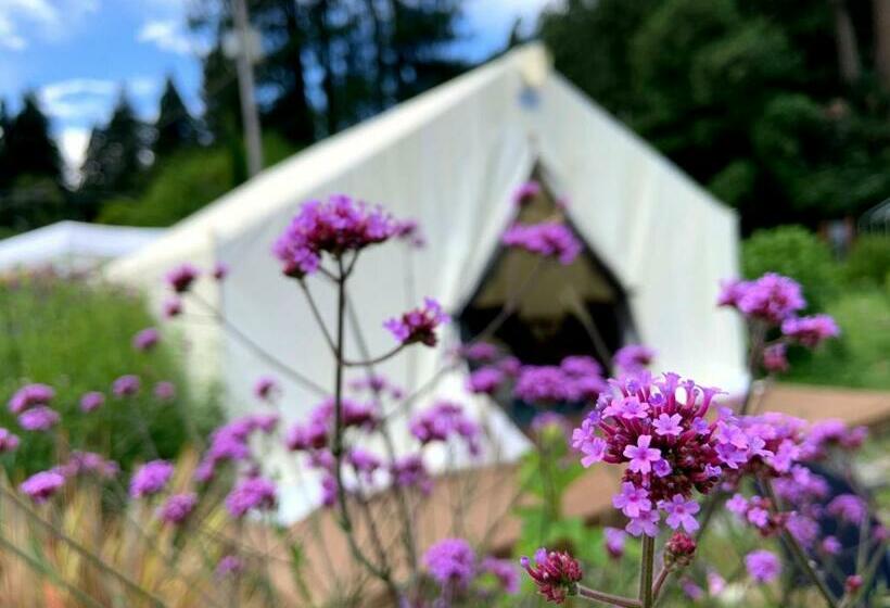 호텔 Surrey Resort