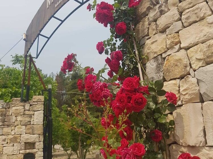 Myhouse Urla Butik Otel