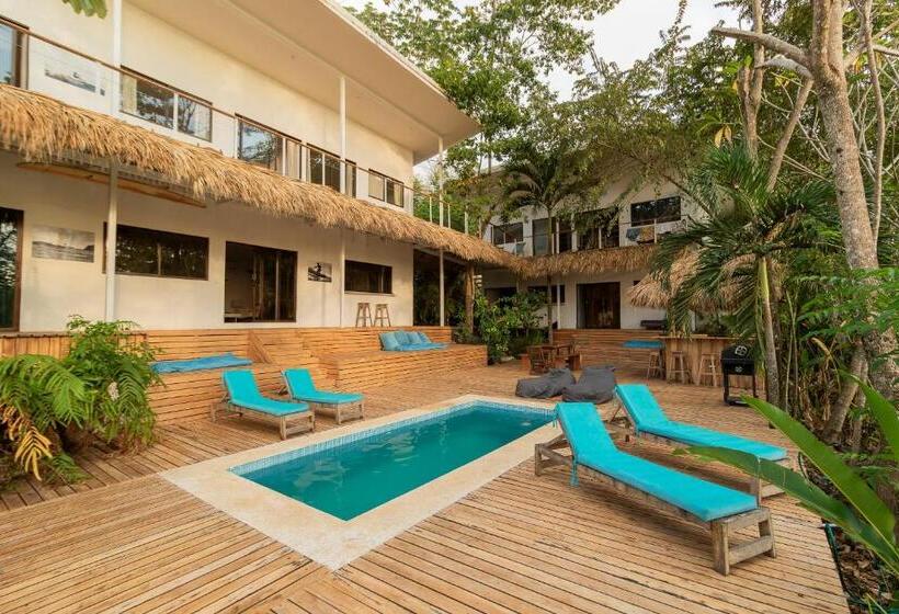 펜션 La Sana Surf Hotel New Management