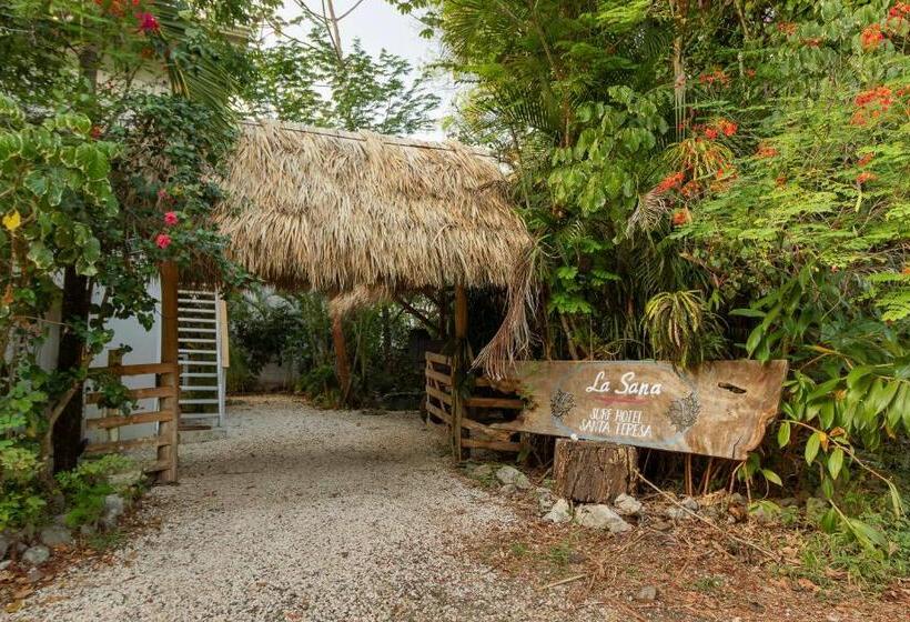 펜션 La Sana Surf Hotel New Management