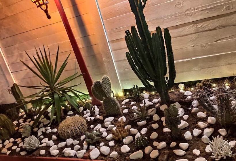 بنسيون Lotus Restaurant & Home