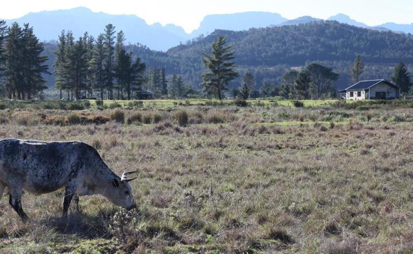 پانسیون The Farmstead