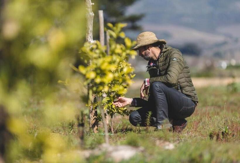 پانسیون The Farmstead