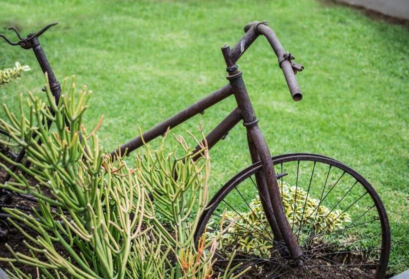 פנסיון Up21 Guest House