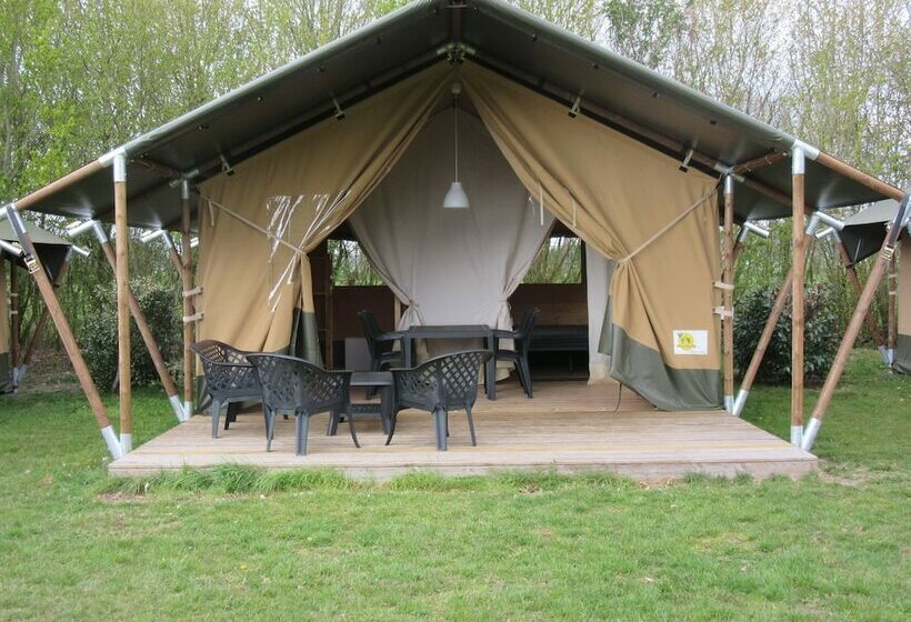 渡假胜地 Camping Olympia