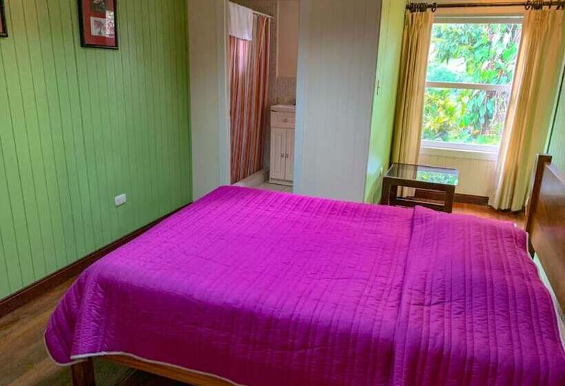 Siempre Verde B&b