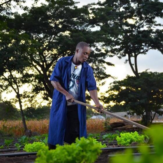 تختخواب و صبحانه Charming Eco Homestay Near Kilimanjaro International Airport