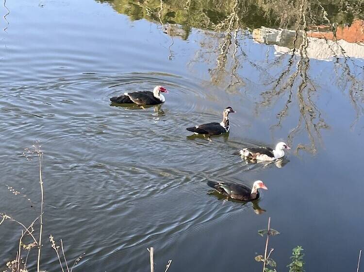 ベッドアンドブレックファースト Santiago Family House