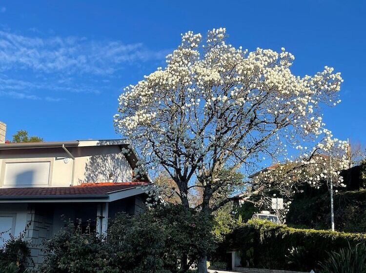 住宿加早餐  Santiago Family House