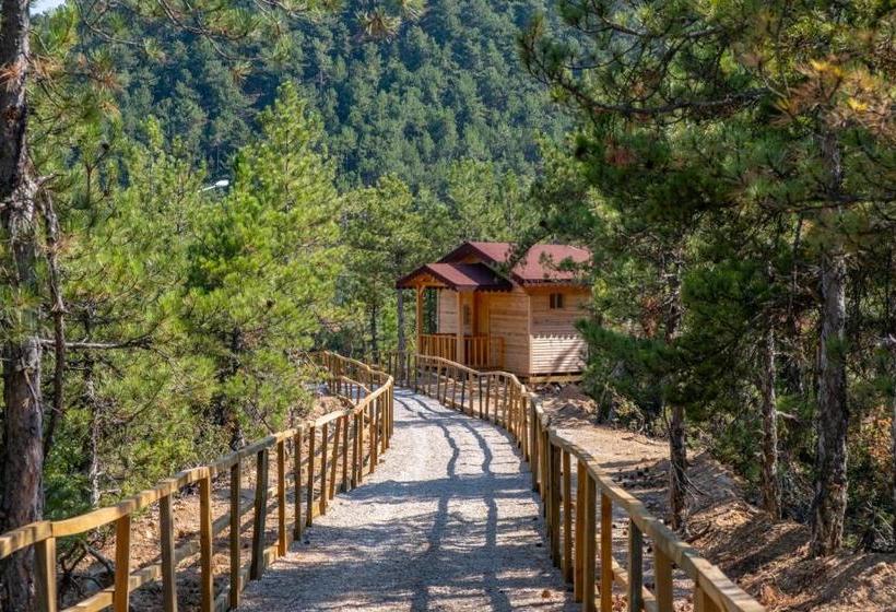 住宿加早餐  Tahtalı Göl Evleri