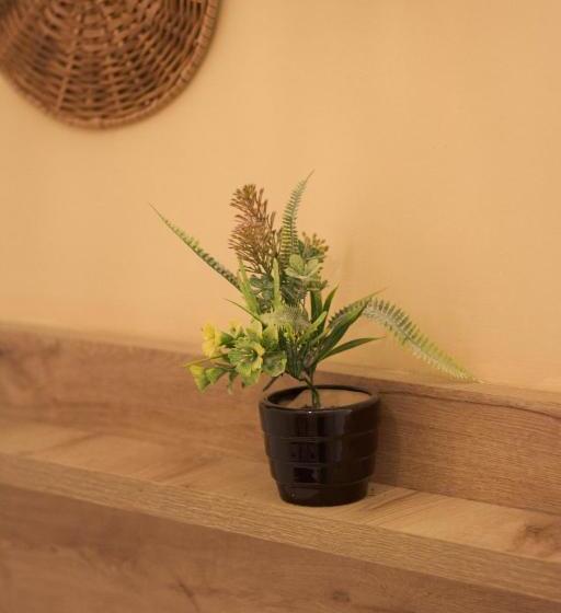 Curazao Hotel  Centro Histórico