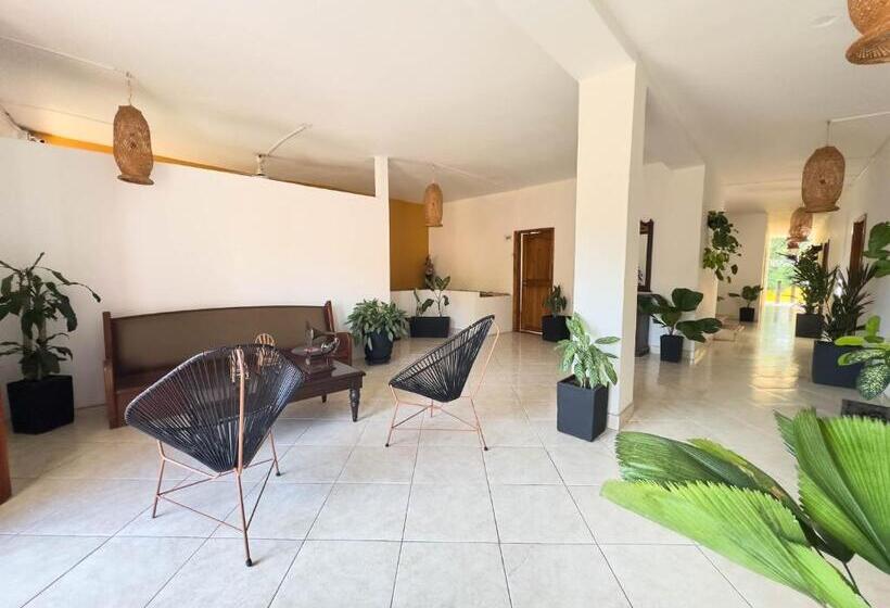 Curazao Hotel  Centro Histórico