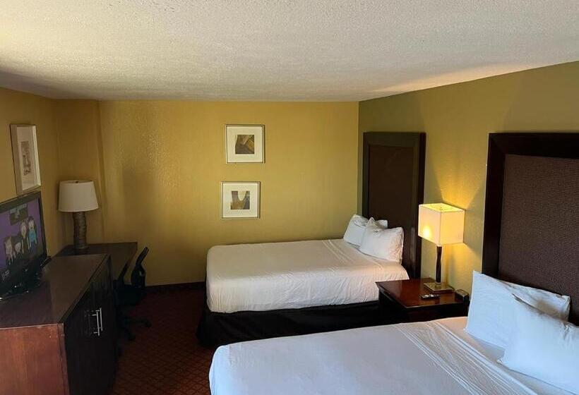 فندق Hutchi Bell