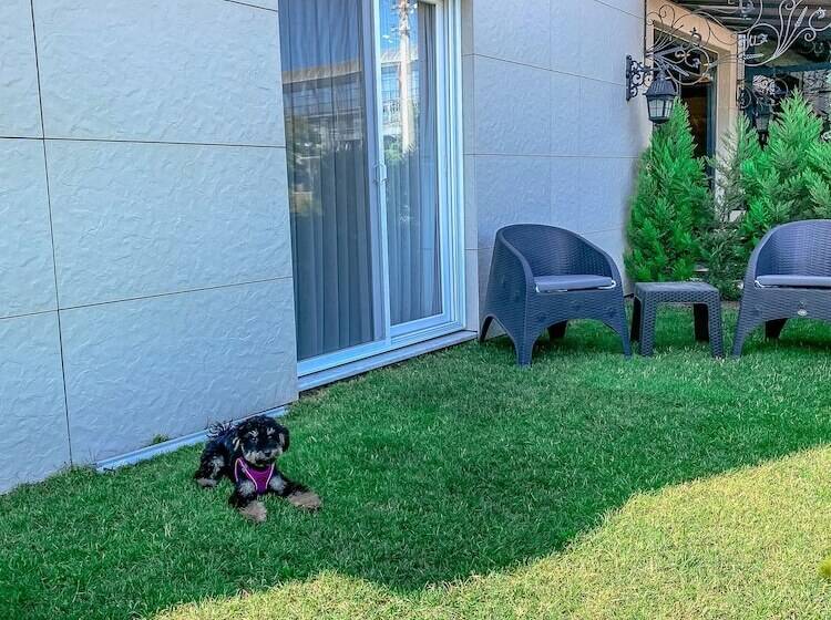 בית מלון כפרי L Opera Deluxe