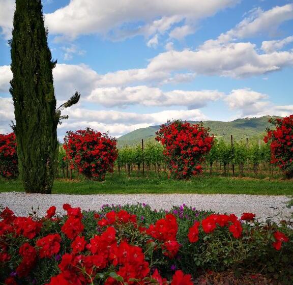 호텔 Pizzulin Wine & Living