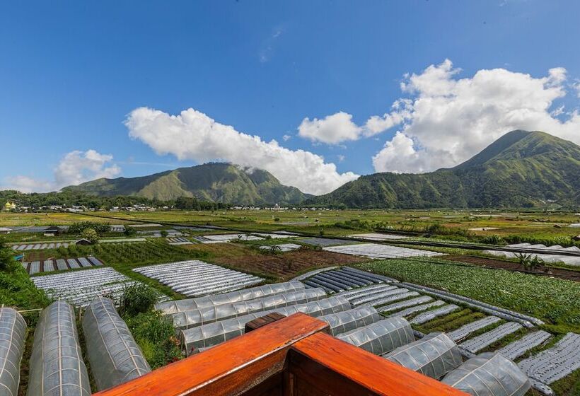 בית מלון כפרי Teras Sawah Guest House Syariah