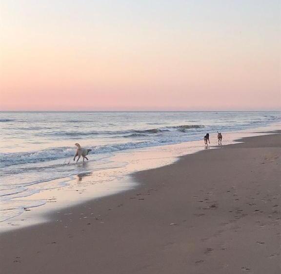 Пансион Hippocampus Aan Zee