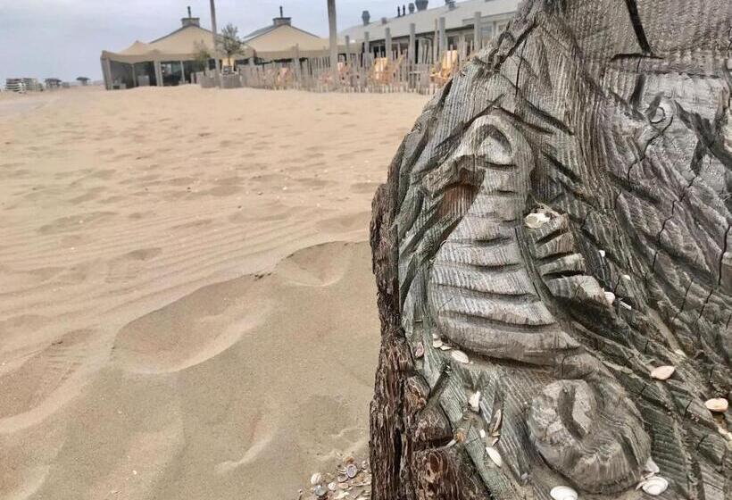 Пансион Hippocampus Aan Zee