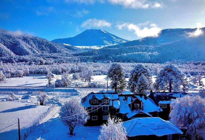 פנסיון Hostal Piedra Santa