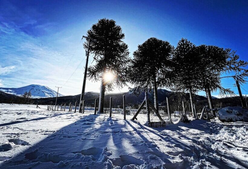 פנסיון Hostal Piedra Santa