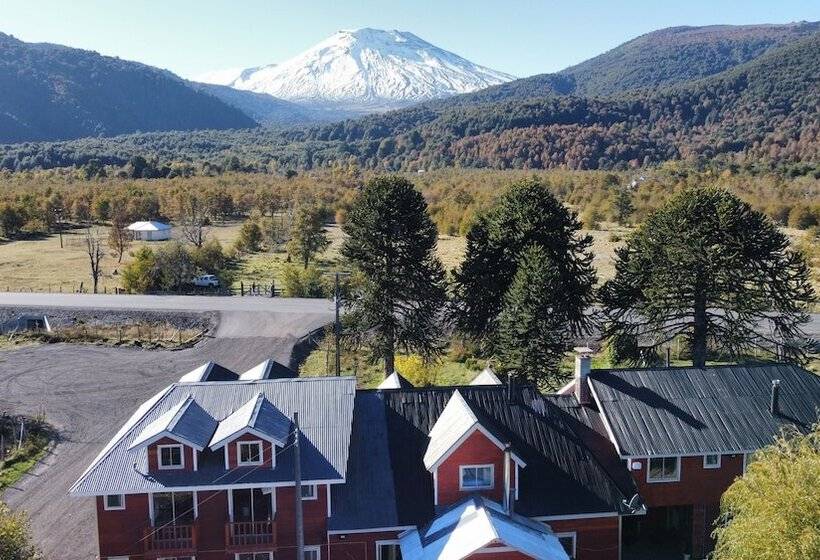 פנסיון Hostal Piedra Santa