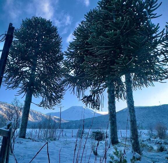 פנסיון Hostal Piedra Santa