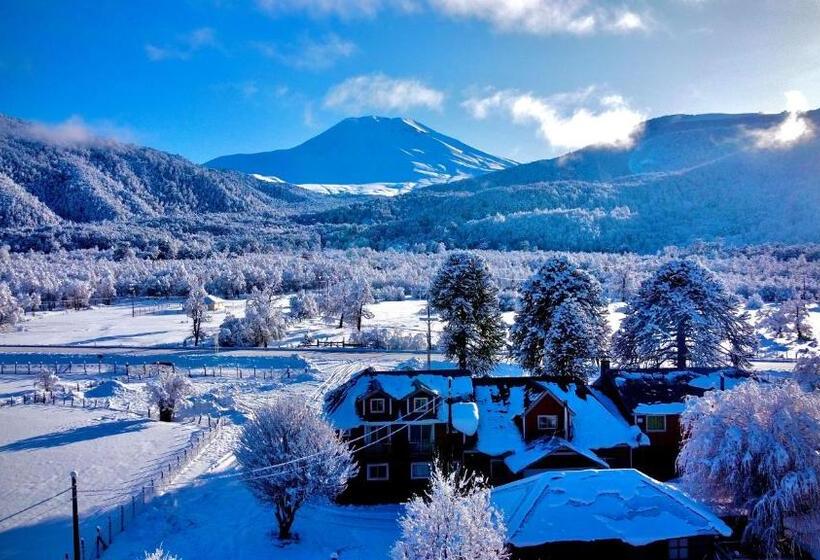 פנסיון Hostal Piedra Santa