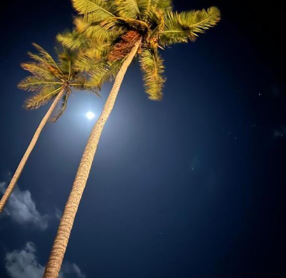 پانسیون Kanaha Beach Villa